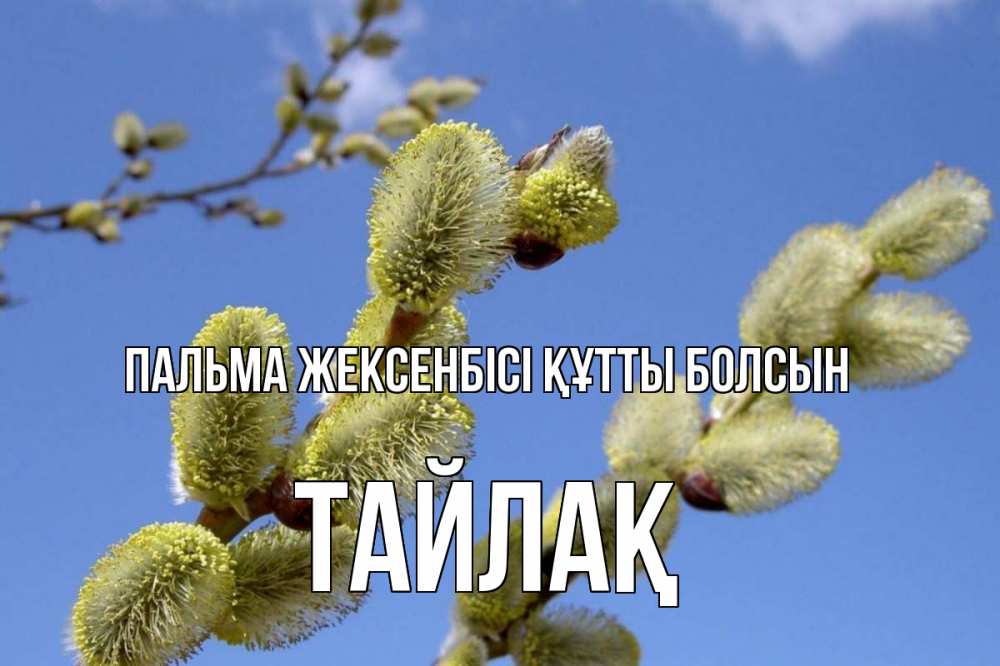 Күн сайын ашық хат с именем, ТАЙЛАҚ Пальма жексенбісі құтты болсын верба Онлайн тегін жүктеп алу тілектері бар керемет карта 