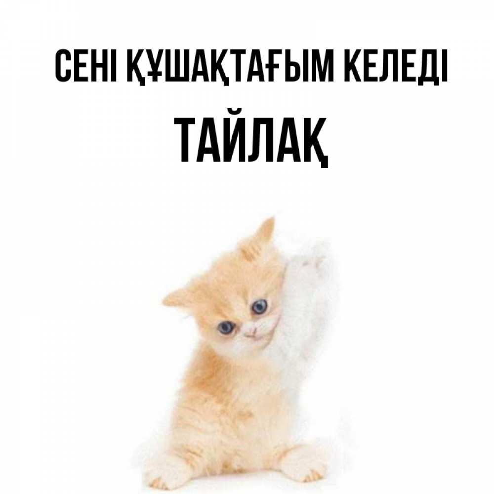 Күн сайын ашық хат с именем, ТАЙЛАҚ сені құшақтағым келеді я хочу очень скорее обнимаешек Онлайн тегін жүктеп алу тілектері бар керемет карта 