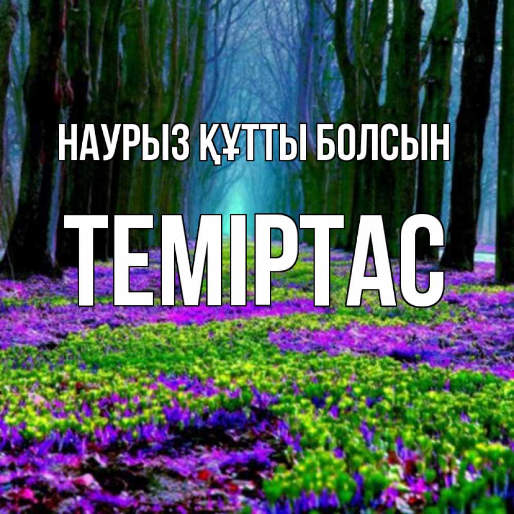 Күн сайын ашық хат с именем, ТЕМІРТАС Наурыз құтты болсын фиолетовые цветы в лесу 1 Онлайн тегін жүктеп алу тілектері бар керемет карта 