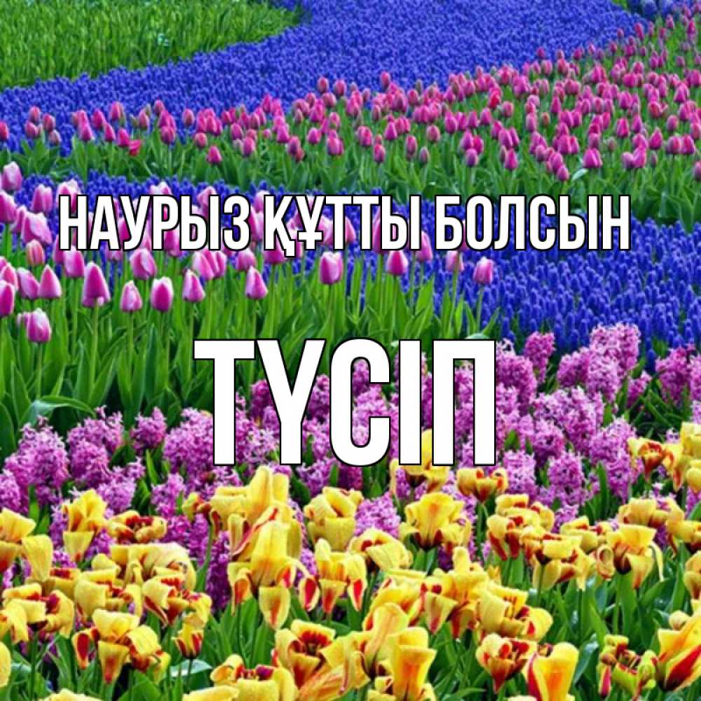 Күн сайын ашық хат с именем, ТҮСІП Наурыз құтты болсын цветы Онлайн тегін жүктеп алу тілектері бар керемет карта 
