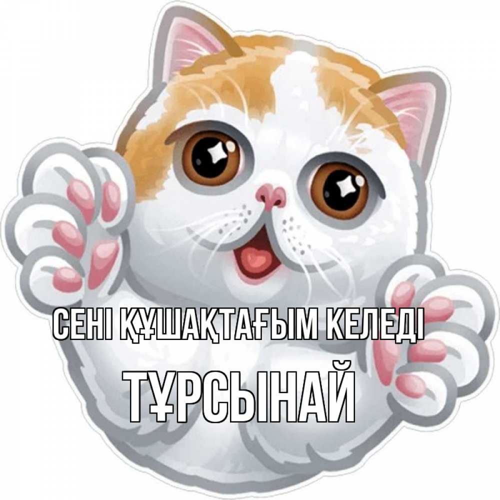 Күн сайын ашық хат с именем, ТҰРСЫНАЙ сені құшақтағым келеді хаги Онлайн тегін жүктеп алу тілектері бар керемет карта 