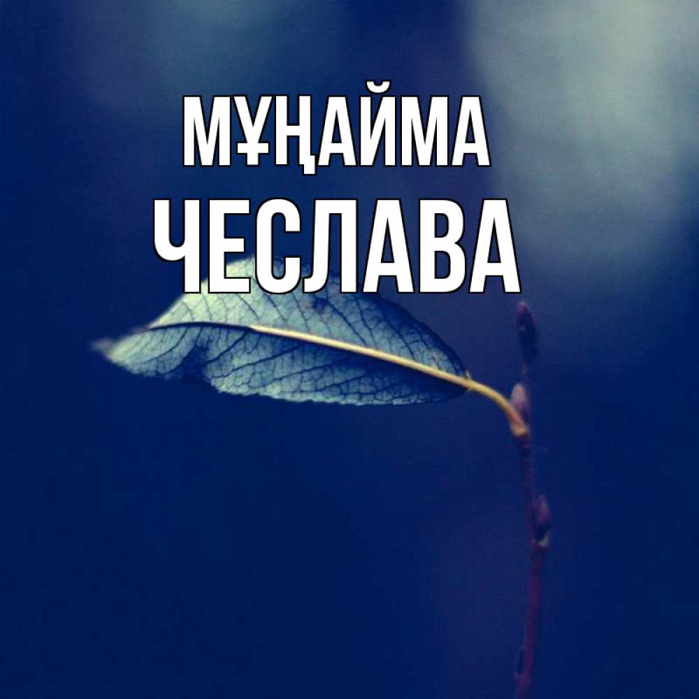 Күн сайын ашық хат с именем, Чеслава Мұңайма растение Онлайн тегін жүктеп алу тілектері бар керемет карта 