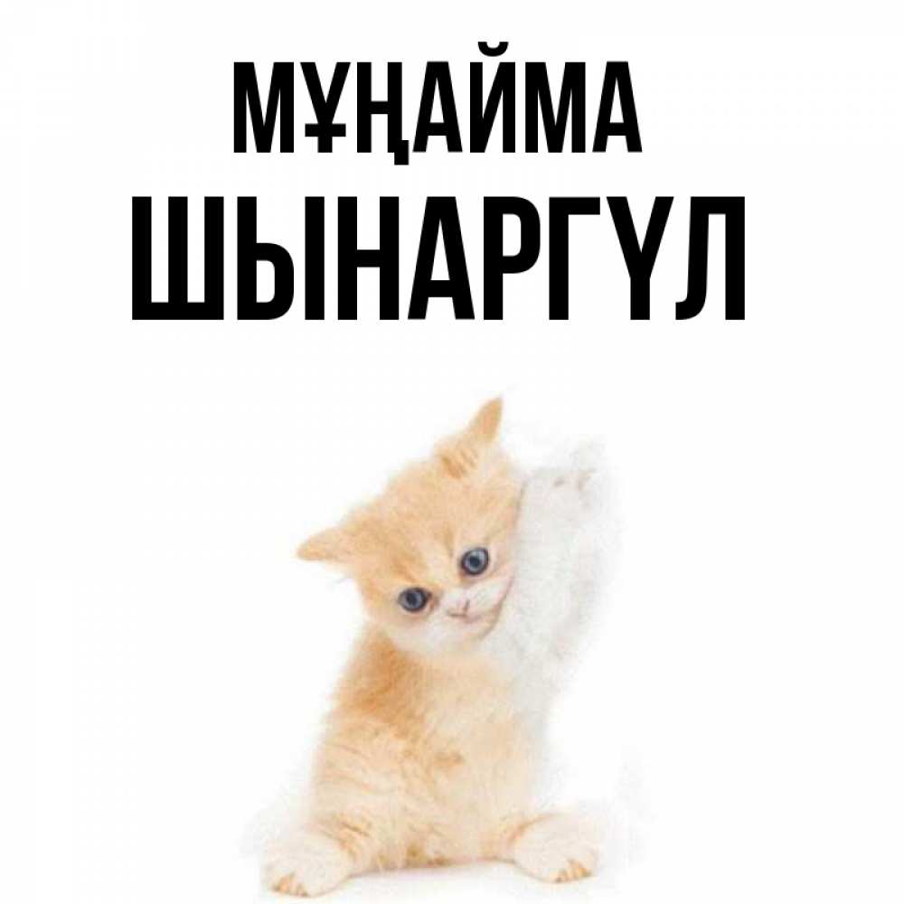 Күн сайын ашық хат с именем, ШЫНАРГҮЛ Мұңайма просящий кот Онлайн тегін жүктеп алу тілектері бар керемет карта 