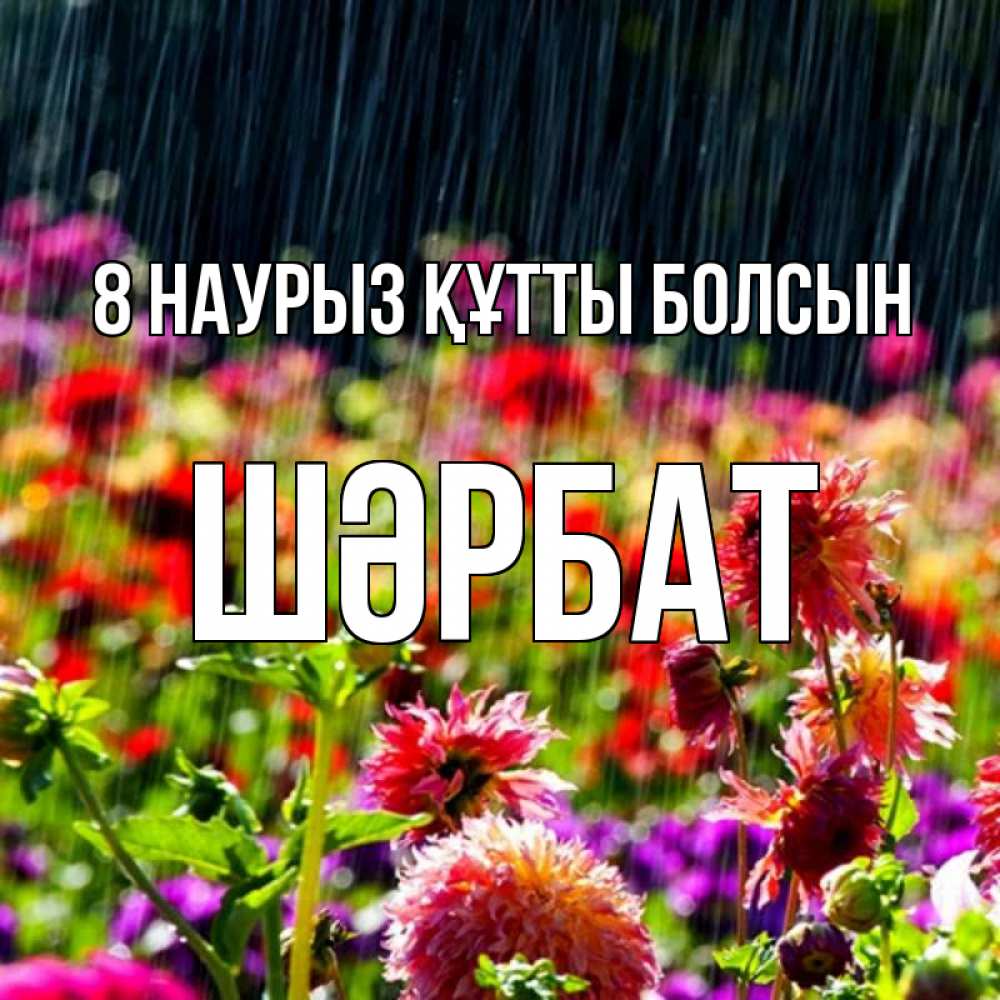 Күн сайын ашық хат с именем, ШӘРБАТ 8 наурыз құтты болсын цветы под дождиком к международному женскому дню Онлайн тегін жүктеп алу тілектері бар керемет карта 