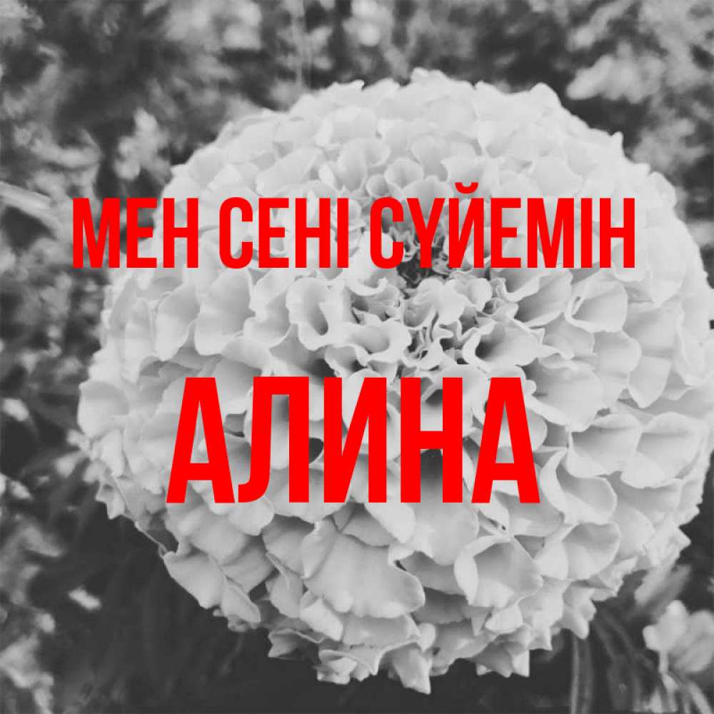 Күн сайын ашық хат с именем, Алина Мен сені сүйемін подпись Онлайн тегін жүктеп алу тілектері бар керемет карта 