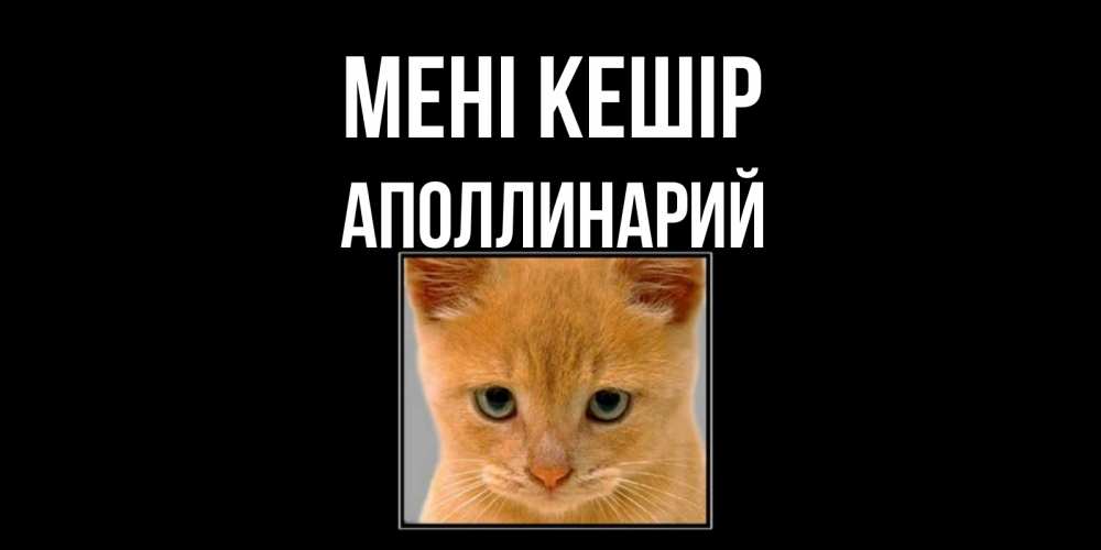 Күн сайын ашық хат с именем, Аполлинарий Мені кешір рыжий грустный кот просит прощения Онлайн тегін жүктеп алу тілектері бар керемет карта 