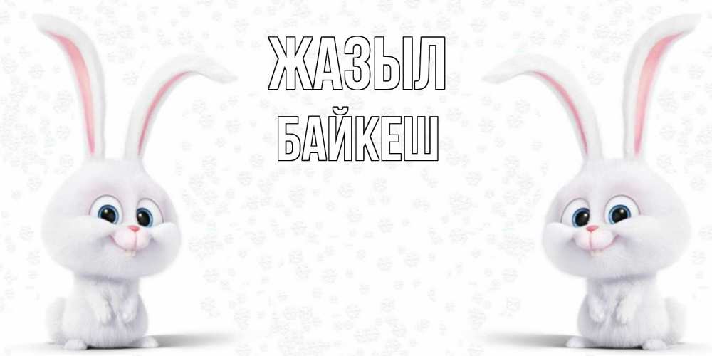 Күн сайын ашық хат с именем, Байкеш Жазыл не болей с зайцем Онлайн тегін жүктеп алу тілектері бар керемет карта 