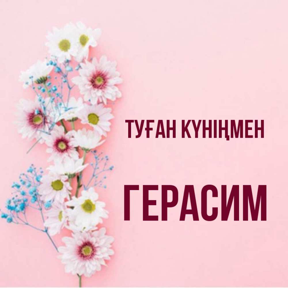 Күн сайын ашық хат с именем, Герасим Туған күніңмен Родная моя с днем рождения тебя картинка с цветами белыми и голубыми Онлайн тегін жүктеп алу тілектері бар керемет карта 