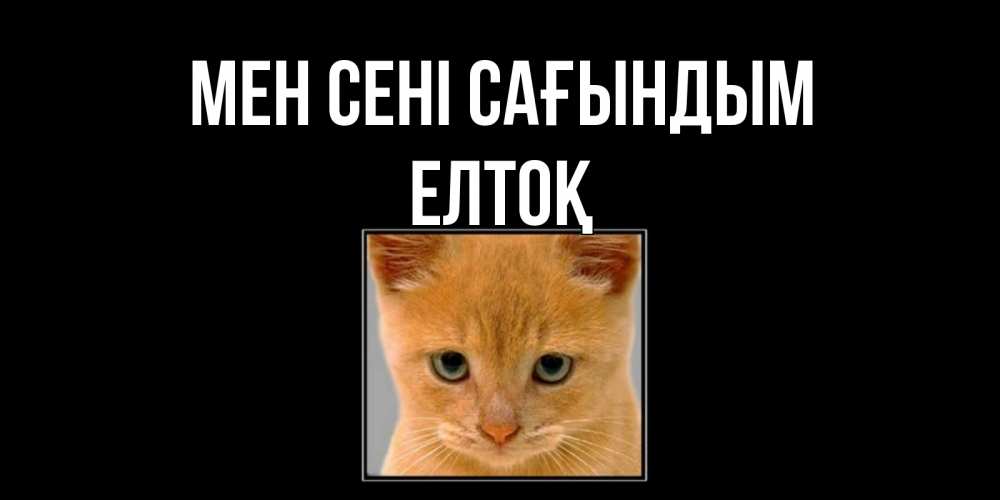 Күн сайын ашық хат с именем, Елтоқ Мен сені сағындым открытки рыжий котенок скучает по тебе Онлайн тегін жүктеп алу тілектері бар керемет карта 