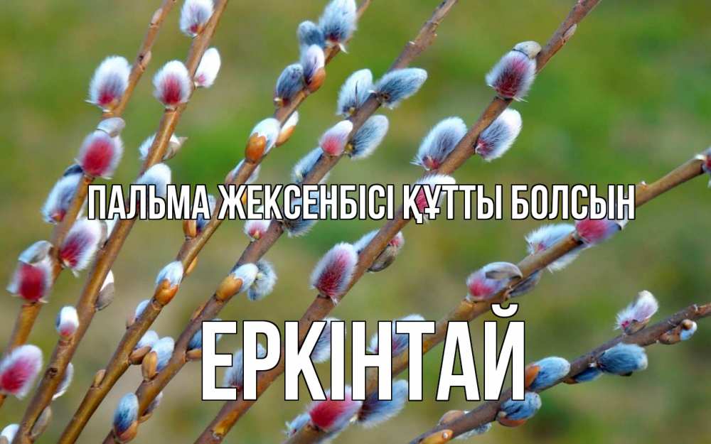 Күн сайын ашық хат с именем, Еркінтай Пальма жексенбісі құтты болсын верба Онлайн тегін жүктеп алу тілектері бар керемет карта 