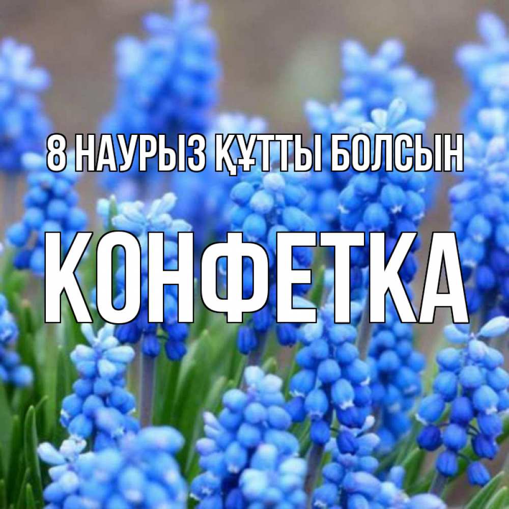 Күн сайын ашық хат с именем, Конфетка 8 наурыз құтты болсын Поздравительная открытка для женщин с цветами на праздничную дату Онлайн тегін жүктеп алу тілектері бар керемет карта 
