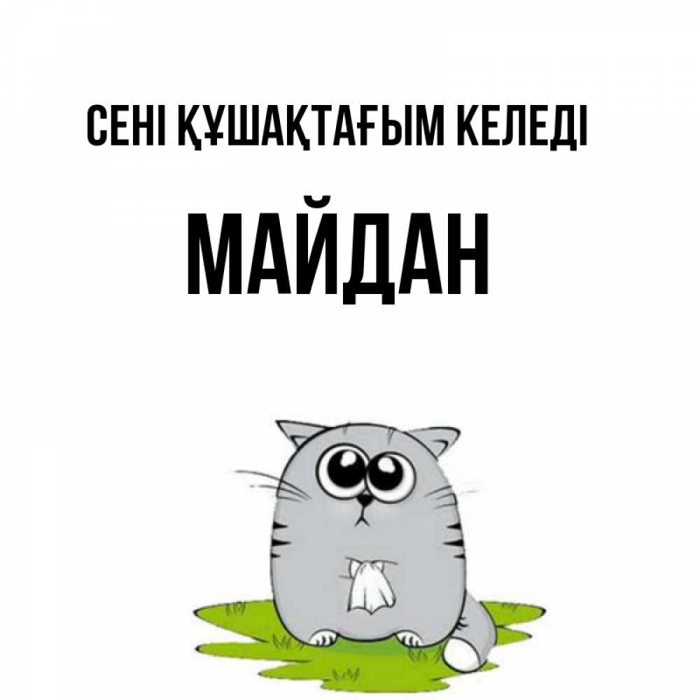 Күн сайын ашық хат с именем, МАЙДАН сені құшақтағым келеді котик теребит платочек сидя на травке Онлайн тегін жүктеп алу тілектері бар керемет карта 