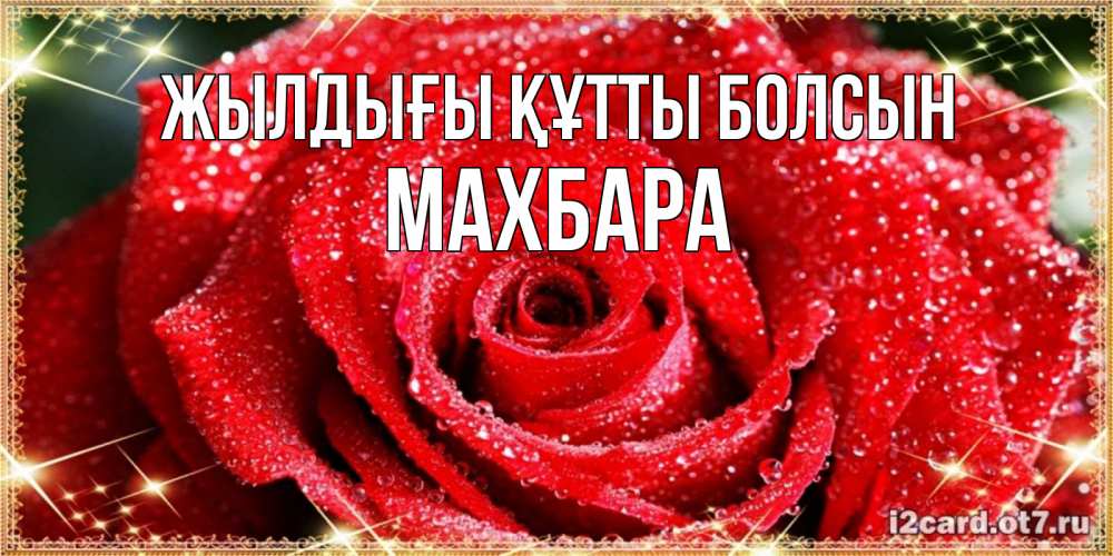 Күн сайын ашық хат с именем, МАХБАРА Жылдығы құтты болсын роса и роза. открытка с красивой розой Онлайн тегін жүктеп алу тілектері бар керемет карта 