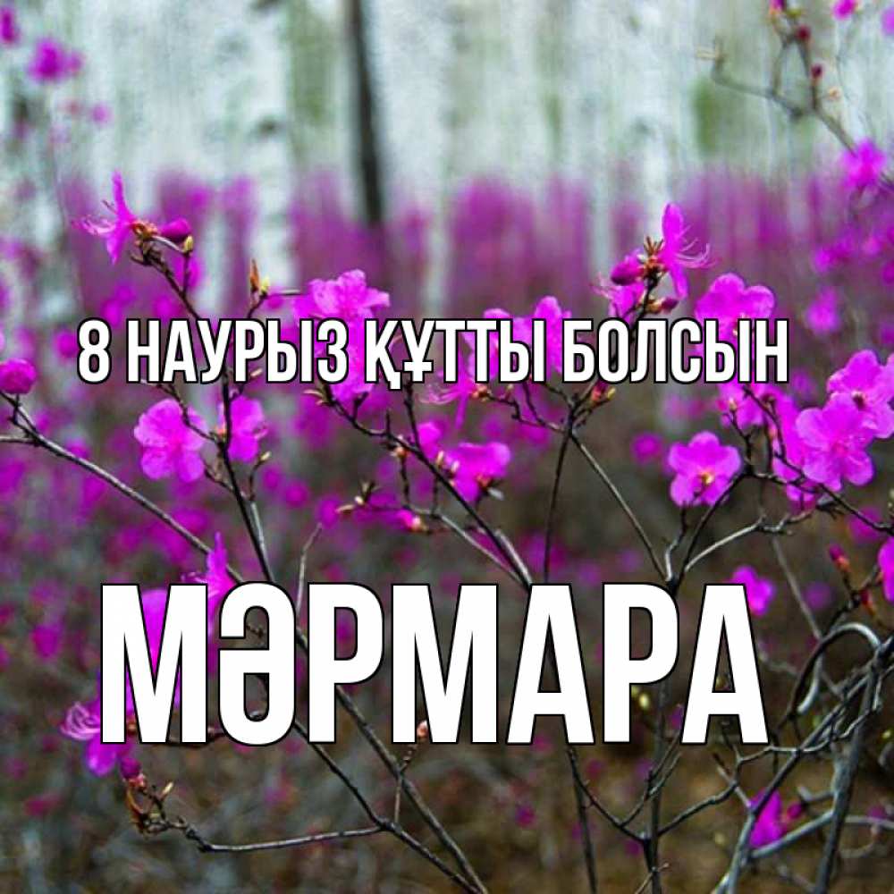 Күн сайын ашық хат с именем, МӘРМАРА 8 наурыз құтты болсын дикие цветы Онлайн тегін жүктеп алу тілектері бар керемет карта 