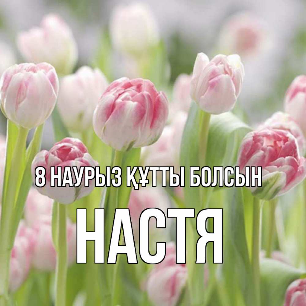 Күн сайын ашық хат с именем, Настя 8 наурыз құтты болсын цветы Онлайн тегін жүктеп алу тілектері бар керемет карта 