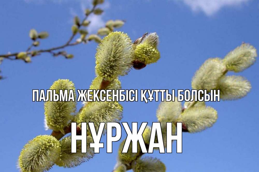 Күн сайын ашық хат с именем, НҰРЖАН Пальма жексенбісі құтты болсын верба Онлайн тегін жүктеп алу тілектері бар керемет карта 