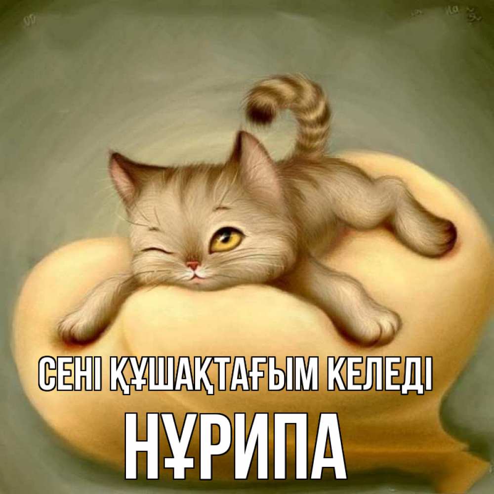 Күн сайын ашық хат с именем, НҰРИПА сені құшақтағым келеді кошечка Онлайн тегін жүктеп алу тілектері бар керемет карта 