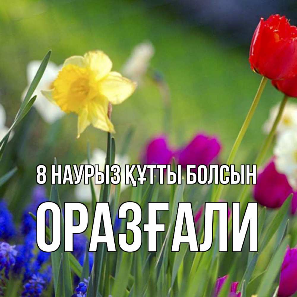 Күн сайын ашық хат с именем, ОРАЗҒАЛИ 8 наурыз құтты болсын международный женский день 3 Онлайн тегін жүктеп алу тілектері бар керемет карта 