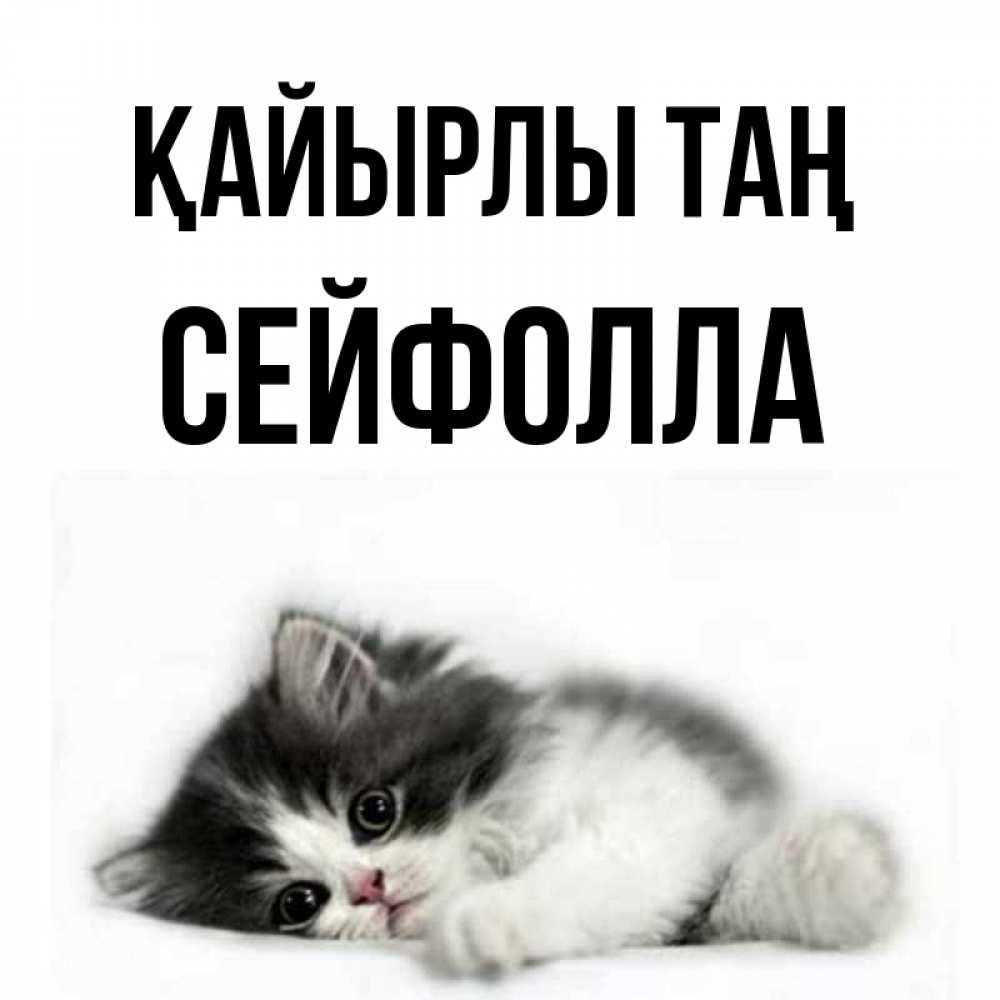 Күн сайын ашық хат с именем, СЕЙФОЛЛА Қайырлы таң кот лапки Онлайн тегін жүктеп алу тілектері бар керемет карта 