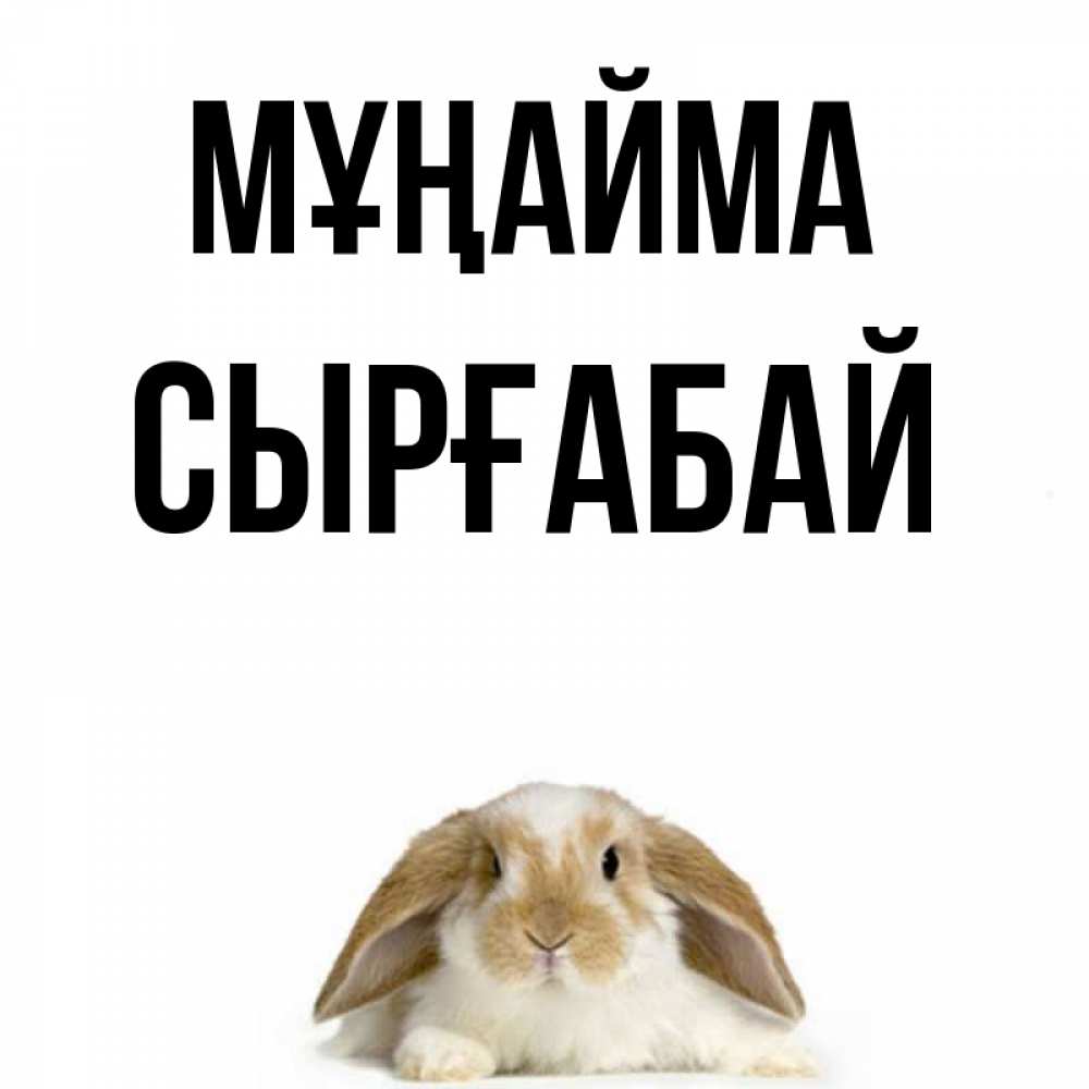 Күн сайын ашық хат с именем, СЫРҒАБАЙ Мұңайма коричнево белый заяц с большими ушками Онлайн тегін жүктеп алу тілектері бар керемет карта 