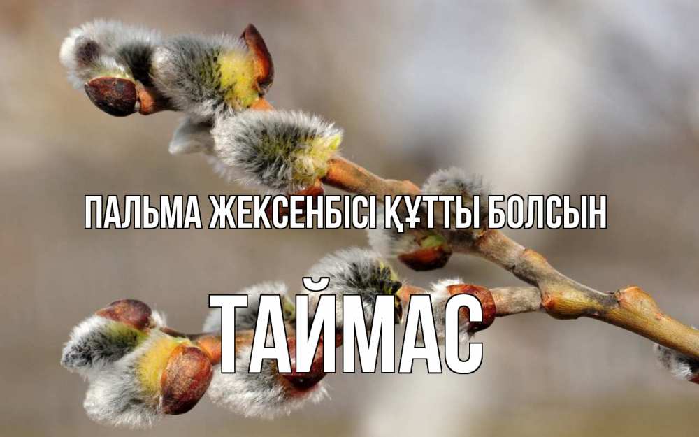 Күн сайын ашық хат с именем, ТАЙМАС Пальма жексенбісі құтты болсын Верба Онлайн тегін жүктеп алу тілектері бар керемет карта 