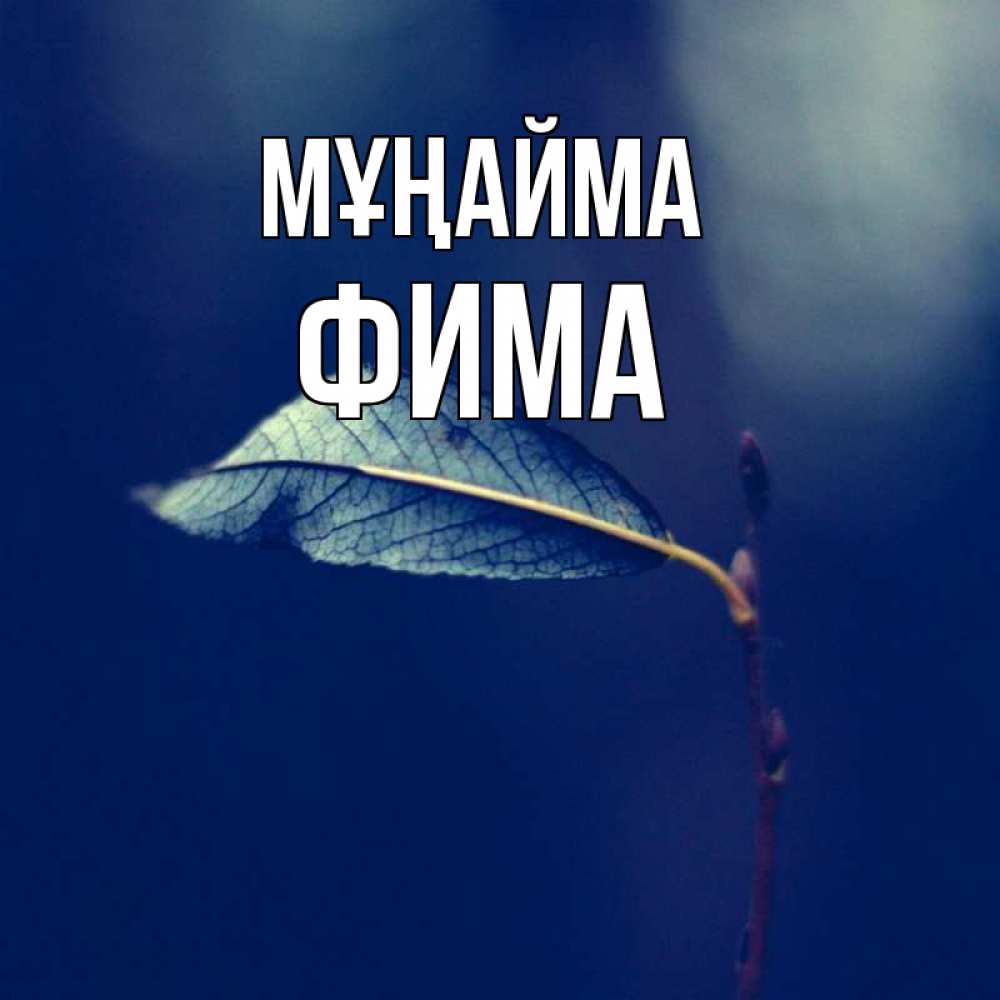 Күн сайын ашық хат с именем, Фима Мұңайма растение Онлайн тегін жүктеп алу тілектері бар керемет карта 