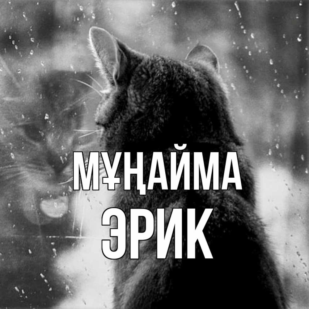 Күн сайын ашық хат с именем, Эрик Мұңайма отражение кота 1 Онлайн тегін жүктеп алу тілектері бар керемет карта 