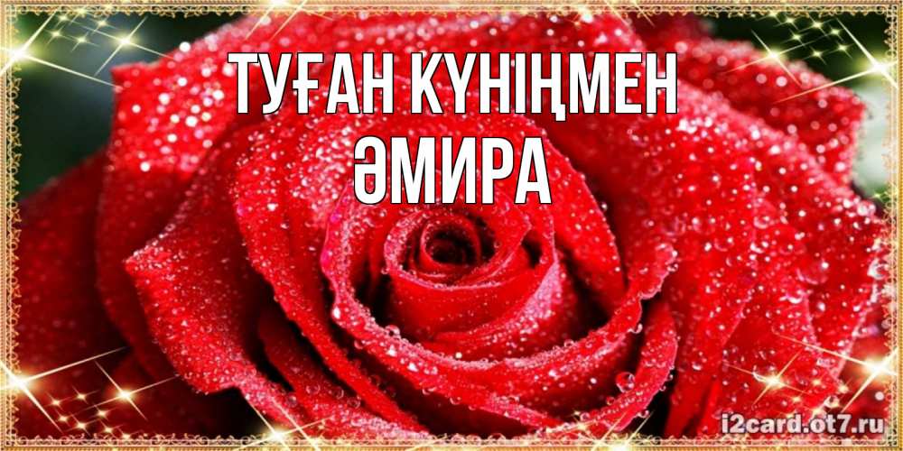 Күн сайын ашық хат с именем, ӘМИРА Туған күніңмен роса и роза. открытка с красивой розой Онлайн тегін жүктеп алу тілектері бар керемет карта 