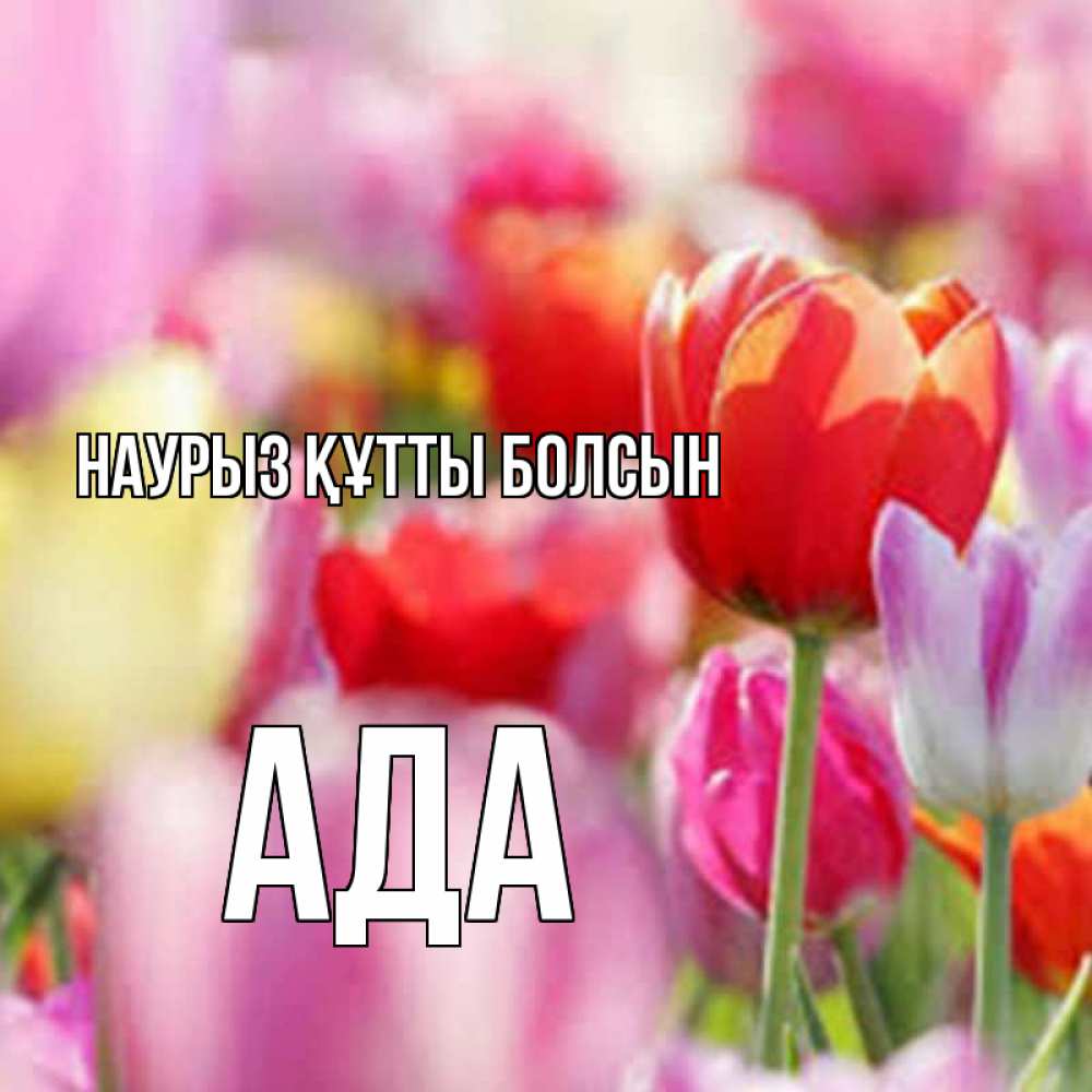Күн сайын ашық хат с именем, Ада Наурыз құтты болсын на наурыз  2 Онлайн тегін жүктеп алу тілектері бар керемет карта 