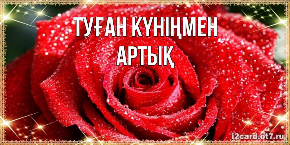 Күн сайын ашық хат с именем, Артық Туған күніңмен роса и роза. открытка с красивой розой Онлайн тегін жүктеп алу тілектері бар керемет карта 