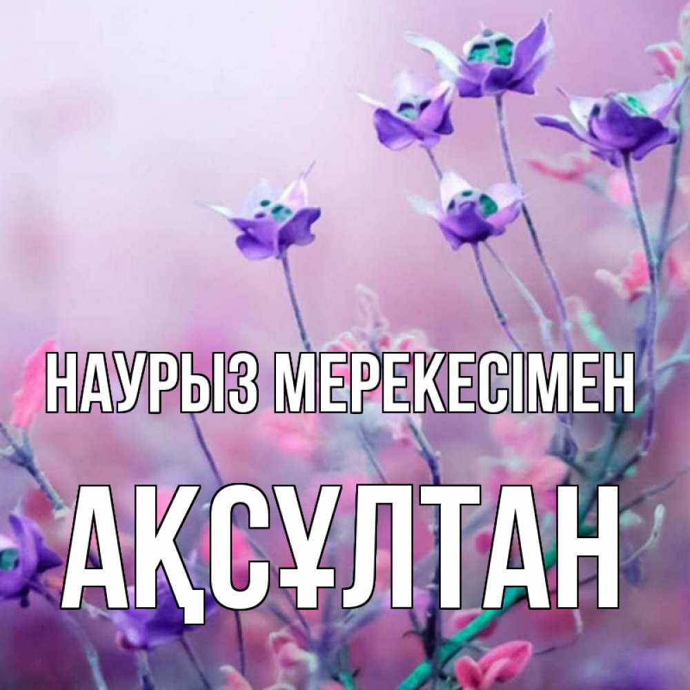 Күн сайын ашық хат с именем, Ақсұлтан Наурыз мерекесімен международный женский день 2 Онлайн тегін жүктеп алу тілектері бар керемет карта 