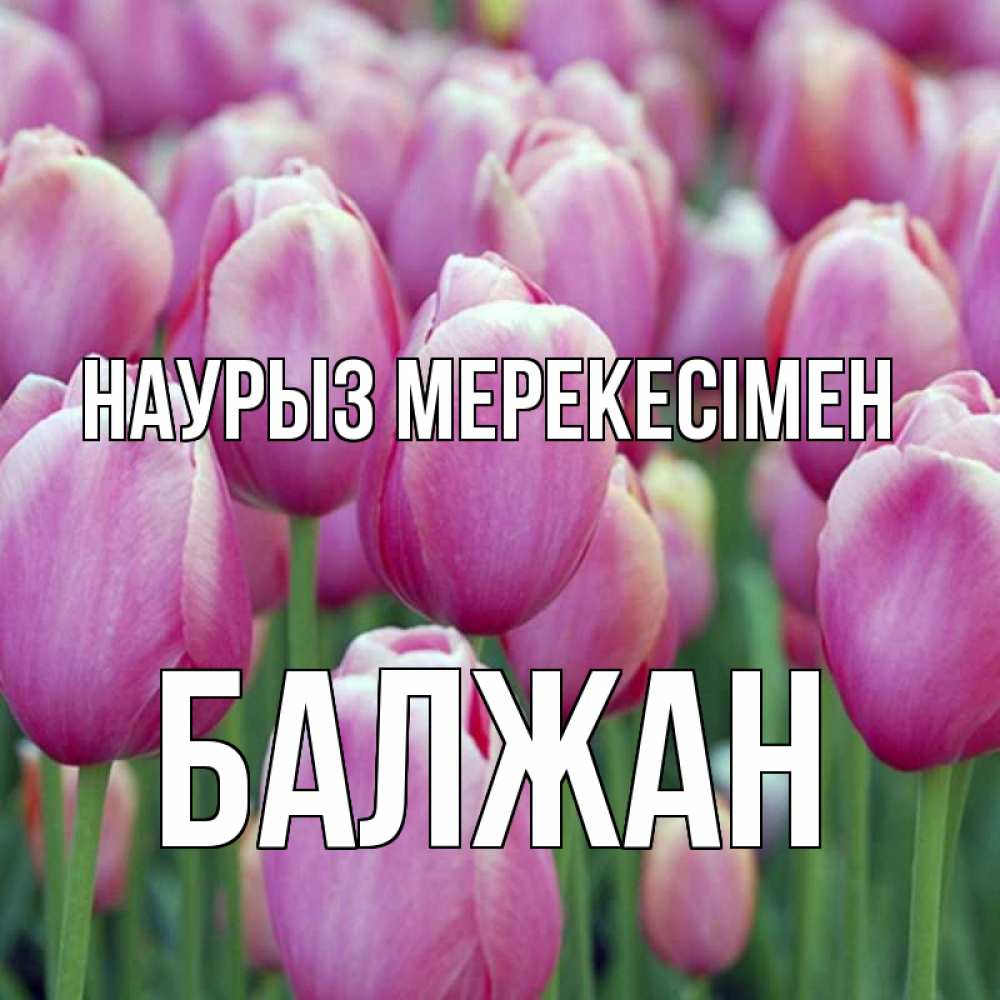 Күн сайын ашық хат с именем, БАЛЖАН Наурыз мерекесімен праздник весны наурыз 69 Онлайн тегін жүктеп алу тілектері бар керемет карта 