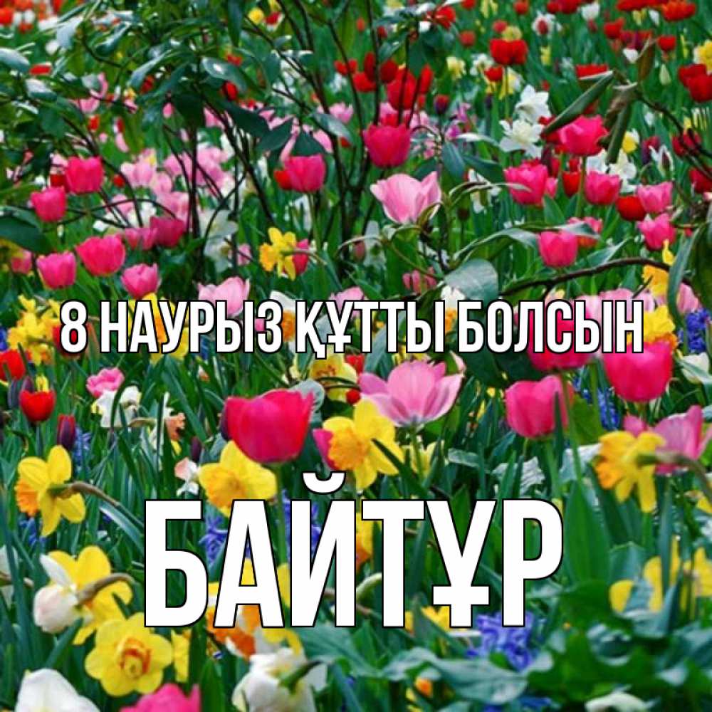 Күн сайын ашық хат с именем, Байтұр 8 наурыз құтты болсын с международным женским днем поздравления для женщины Онлайн тегін жүктеп алу тілектері бар керемет карта 