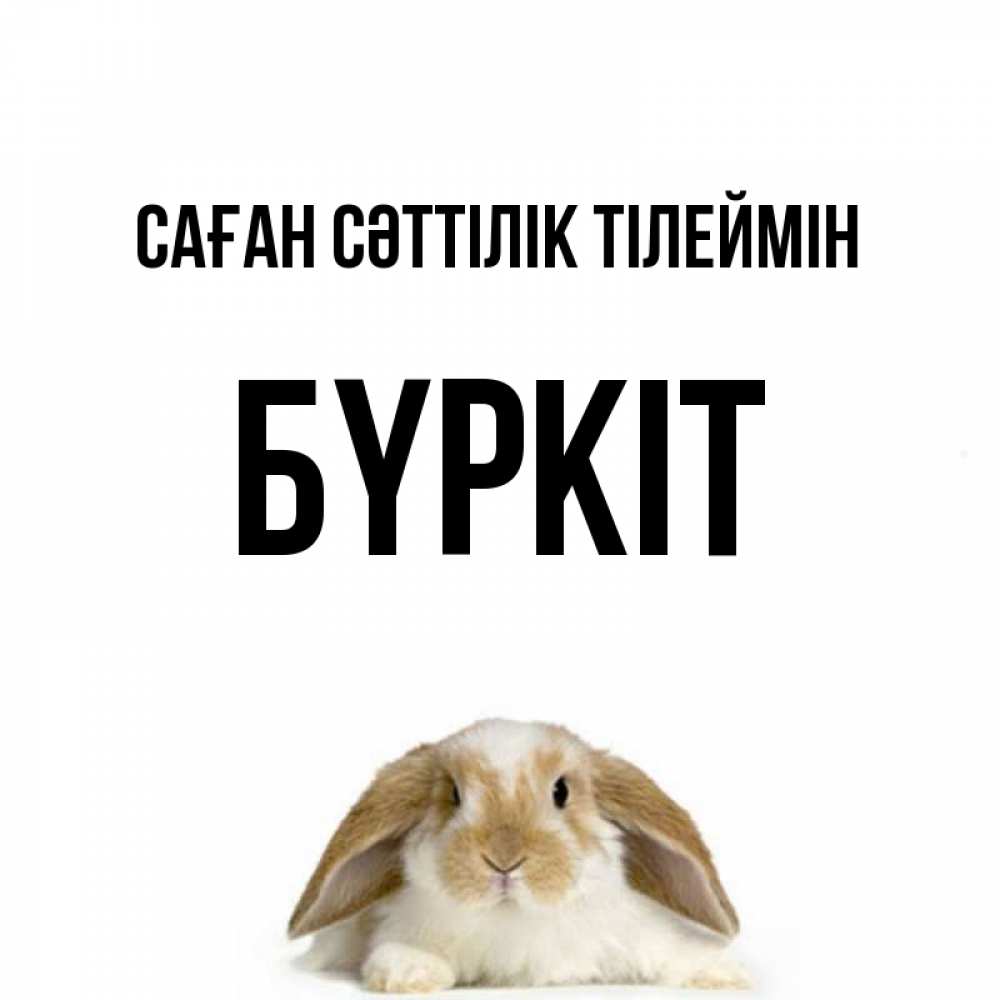 Күн сайын ашық хат с именем, Бүркіт Саған сәттілік тілеймін открытки с произвольным текстом который можно вставить в открытку и создать ее самостоятельно бесплатно онлайн Онлайн тегін жүктеп алу тілектері бар керемет карта 