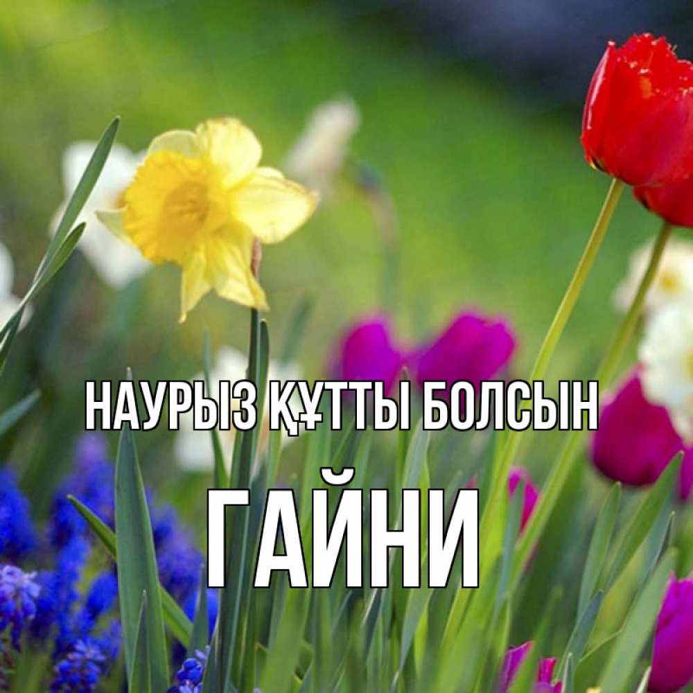 Күн сайын ашық хат с именем, ГАЙНИ Наурыз құтты болсын наурыз  3 открытки Онлайн тегін жүктеп алу тілектері бар керемет карта 