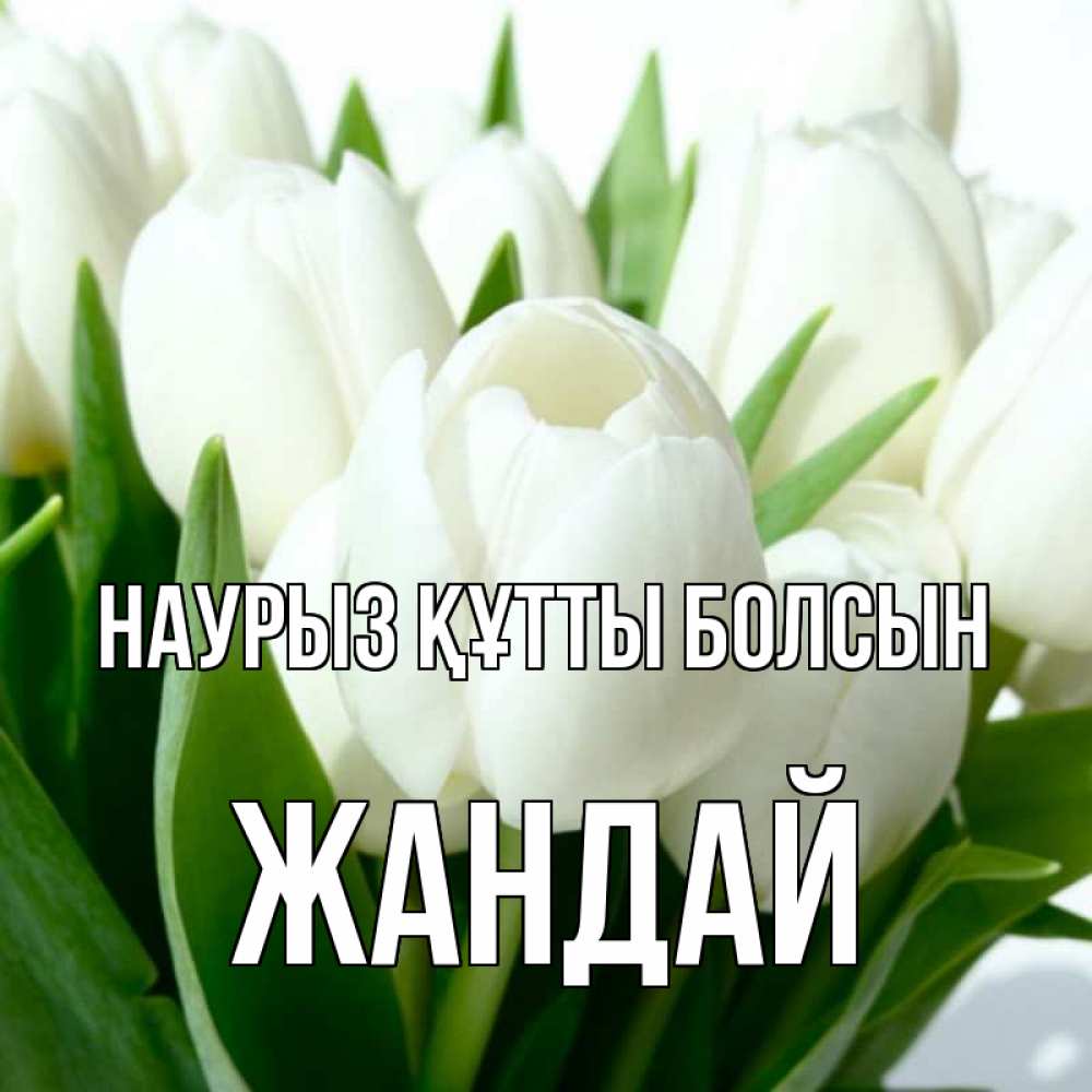 Күн сайын ашық хат с именем, Жандай Наурыз құтты болсын цветы Онлайн тегін жүктеп алу тілектері бар керемет карта 