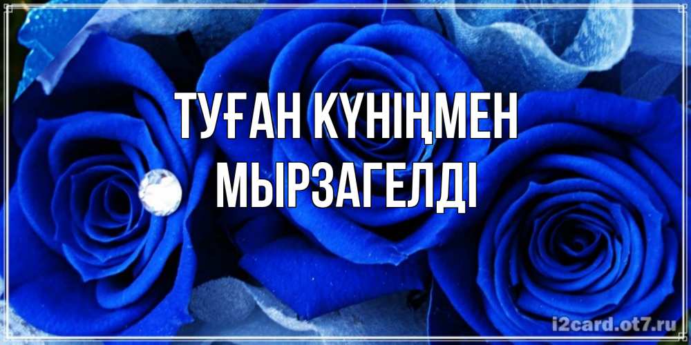 Күн сайын ашық хат с именем, Мырзагелді Туған күніңмен синие розы в росе Онлайн тегін жүктеп алу тілектері бар керемет карта 