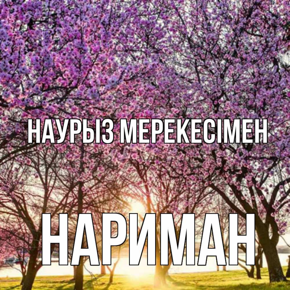 Күн сайын ашық хат с именем, НАРИМАН Наурыз мерекесімен праздник весны наурыз Онлайн тегін жүктеп алу тілектері бар керемет карта 