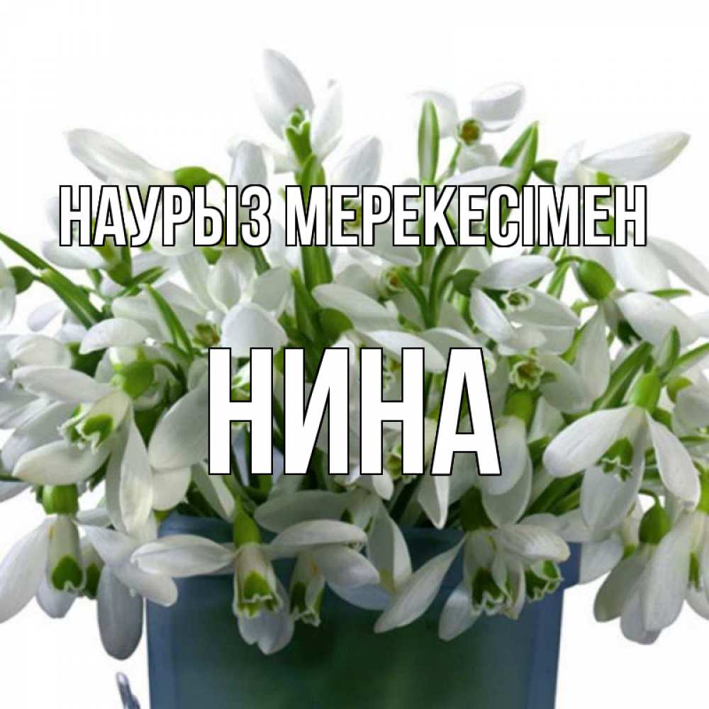Күн сайын ашық хат с именем, Нина Наурыз мерекесімен цветы к наурызу новый год в Казахстане Онлайн тегін жүктеп алу тілектері бар керемет карта 