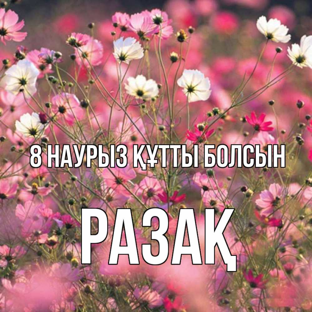 Күн сайын ашық хат с именем, РАЗАҚ 8 наурыз құтты болсын красиво 1 Онлайн тегін жүктеп алу тілектері бар керемет карта 