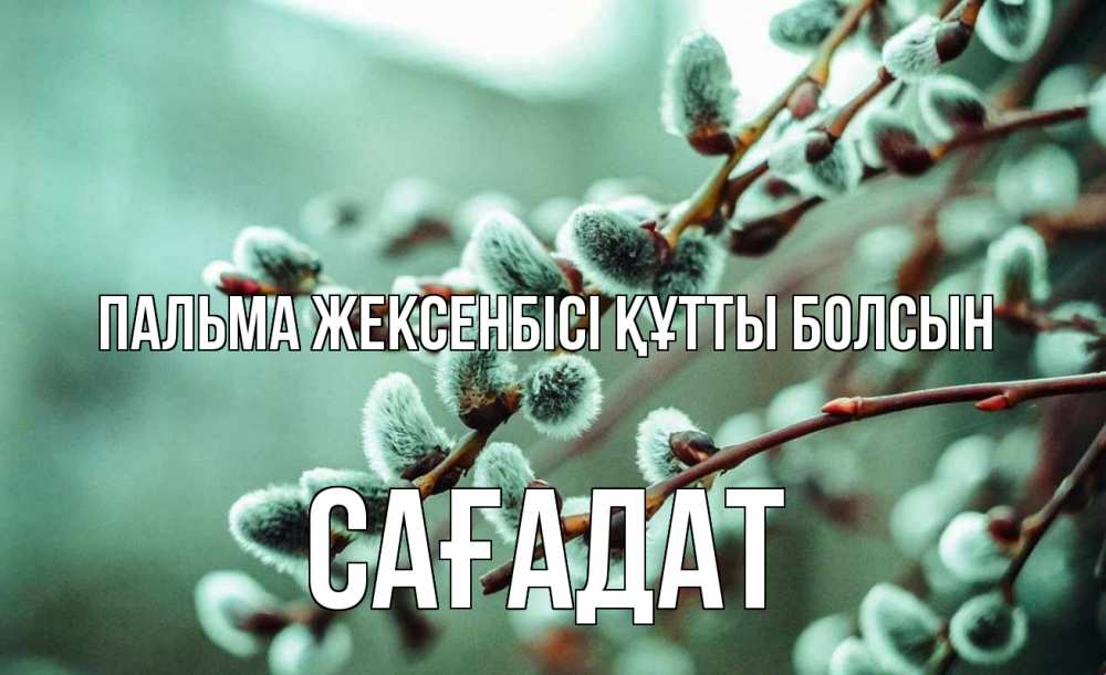 Күн сайын ашық хат с именем, САҒАДАТ Пальма жексенбісі құтты болсын верба Онлайн тегін жүктеп алу тілектері бар керемет карта 