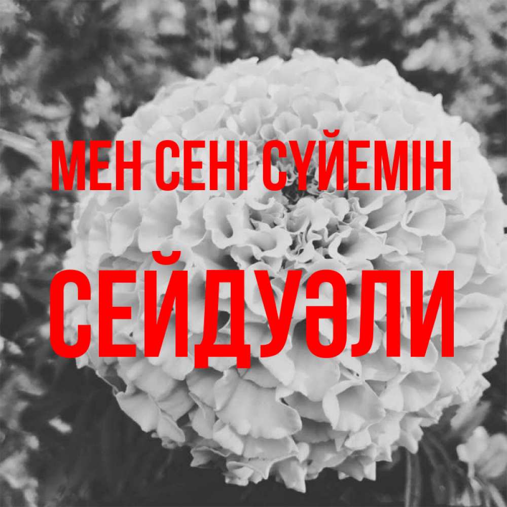 Күн сайын ашық хат с именем, СЕЙДУӘЛИ Мен сені сүйемін подпись Онлайн тегін жүктеп алу тілектері бар керемет карта 