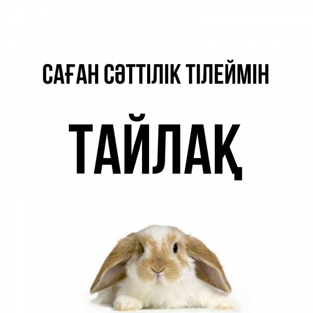 Күн сайын ашық хат с именем, ТАЙЛАҚ Саған сәттілік тілеймін открытки с произвольным текстом который можно вставить в открытку и создать ее самостоятельно бесплатно онлайн Онлайн тегін жүктеп алу тілектері бар керемет карта 