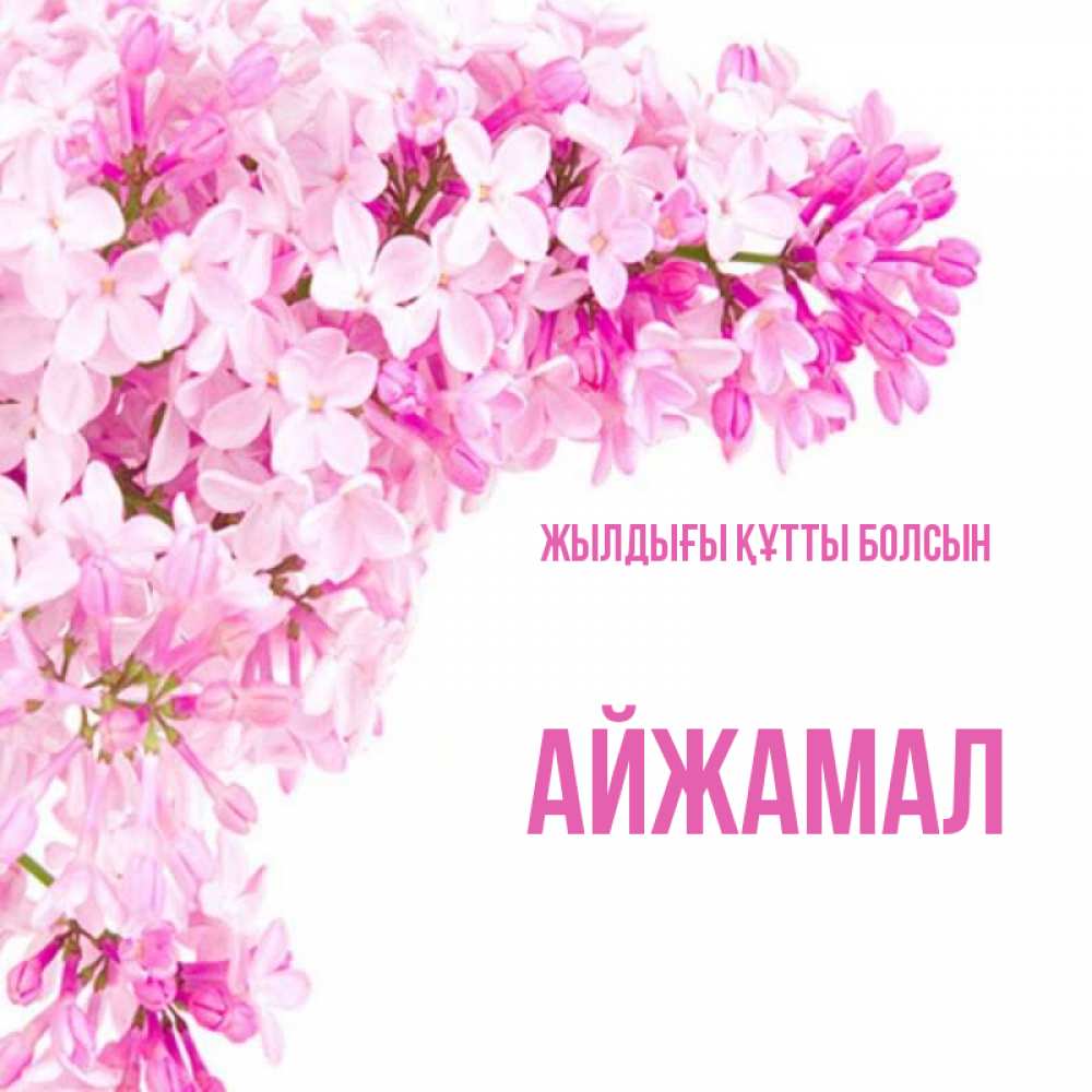 Күн сайын ашық хат с именем, АЙЖАМАЛ Жылдығы құтты болсын Сирень на белом фоне Онлайн тегін жүктеп алу тілектері бар керемет карта 