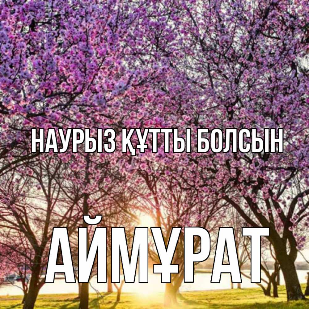 Күн сайын ашық хат с именем, Аймұрат Наурыз құтты болсын наурыз Онлайн тегін жүктеп алу тілектері бар керемет карта 