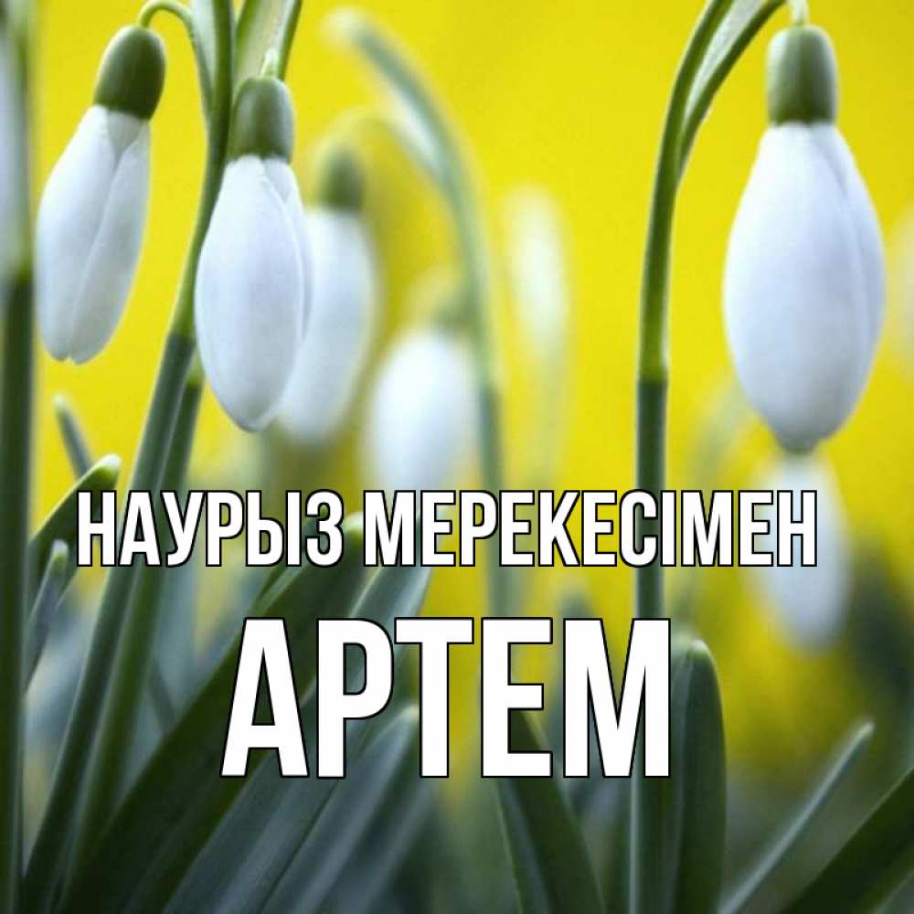 Күн сайын ашық хат с именем, Артем Наурыз мерекесімен весенние цветы Онлайн тегін жүктеп алу тілектері бар керемет карта 