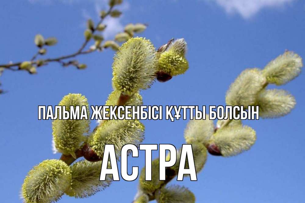 Күн сайын ашық хат с именем, Астра Пальма жексенбісі құтты болсын верба Онлайн тегін жүктеп алу тілектері бар керемет карта 