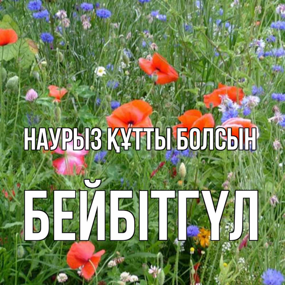 Күн сайын ашық хат с именем, БЕЙБІТГҮЛ Наурыз құтты болсын наурыз  4 Онлайн тегін жүктеп алу тілектері бар керемет карта 