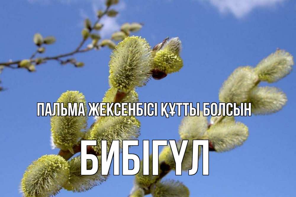 Күн сайын ашық хат с именем, БИБІГҮЛ Пальма жексенбісі құтты болсын верба Онлайн тегін жүктеп алу тілектері бар керемет карта 