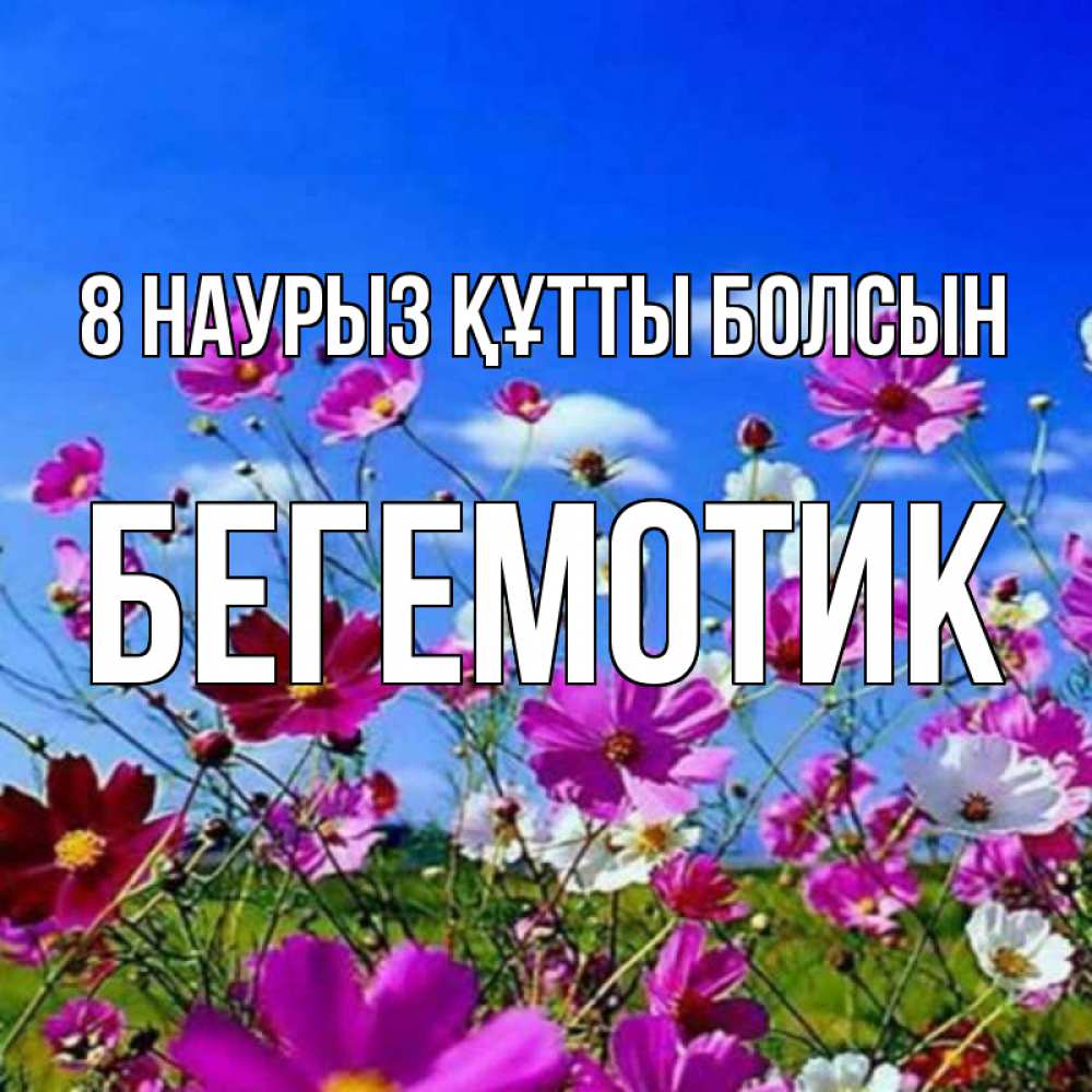 Күн сайын ашық хат с именем, Бегемотик 8 наурыз құтты болсын цветы Онлайн тегін жүктеп алу тілектері бар керемет карта 
